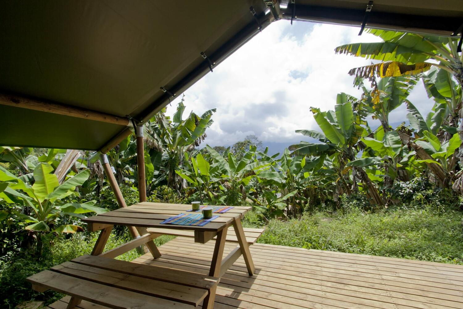 Glamping Jardín, Jardin