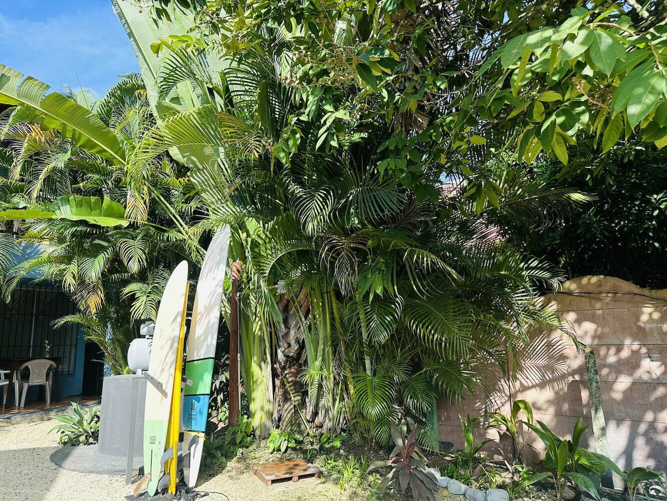 Surf Paradise, Santa Teresa