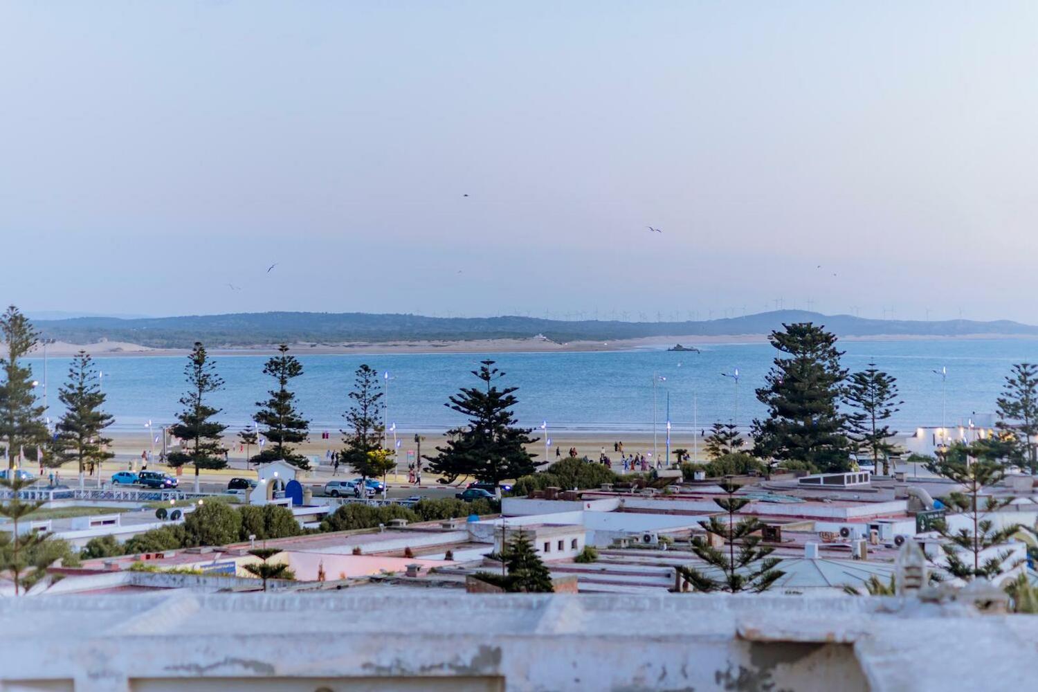 Giraffe Hostel- Sea View Rooftop, Essaouira