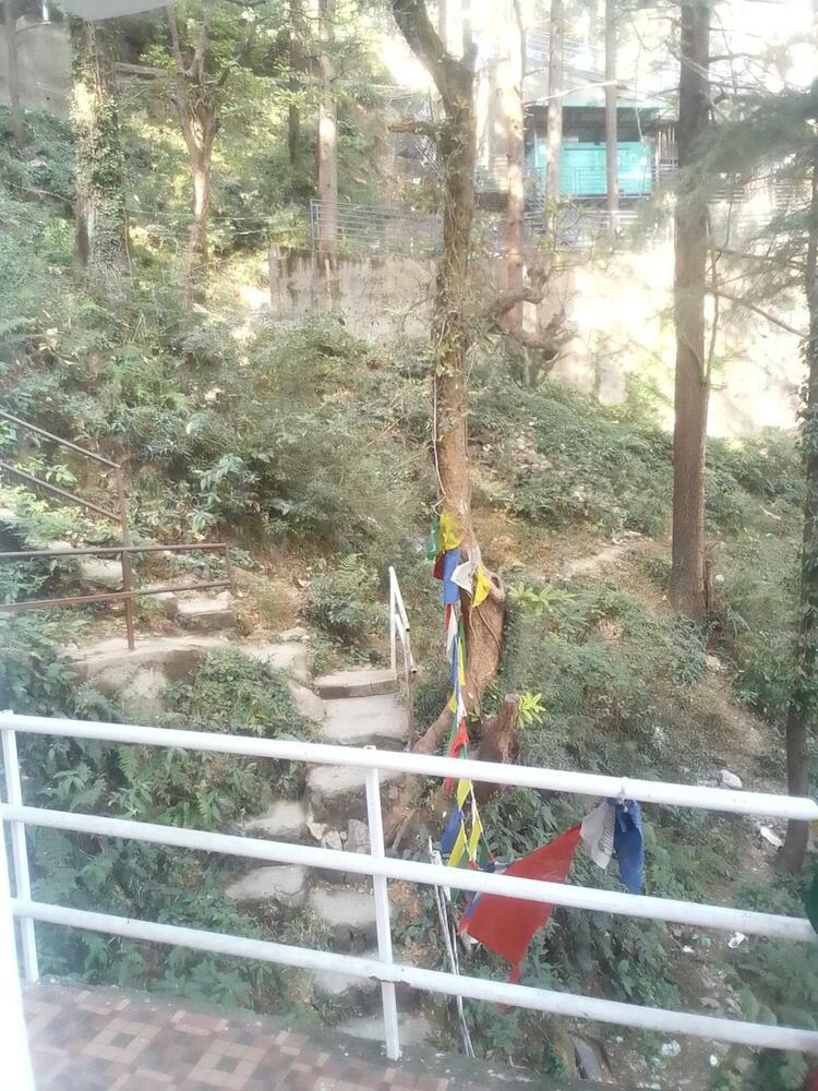 Himalayan Mountain Trekkers Homestay, McLeod Ganj