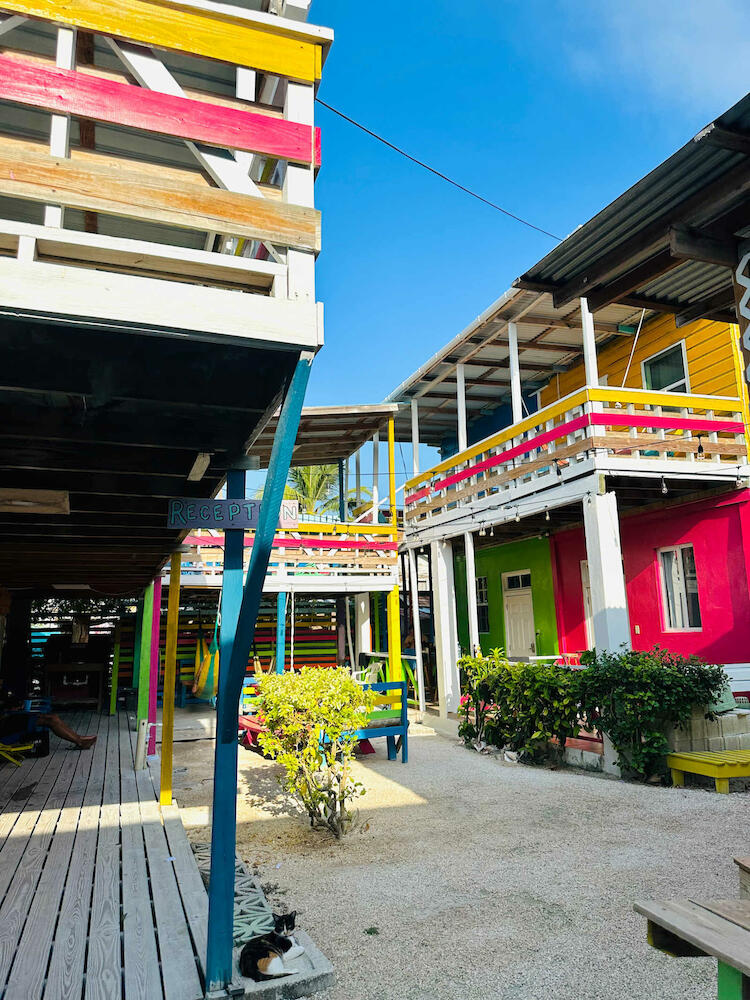 Get to know Caye Caulker