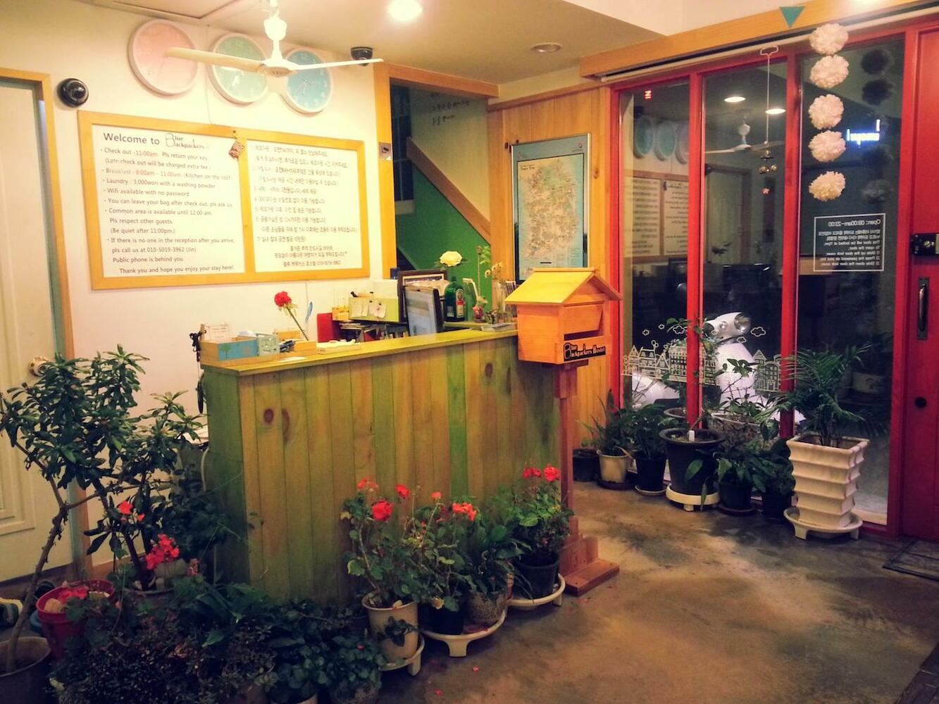 Blue Backpackers Hostel, Busan