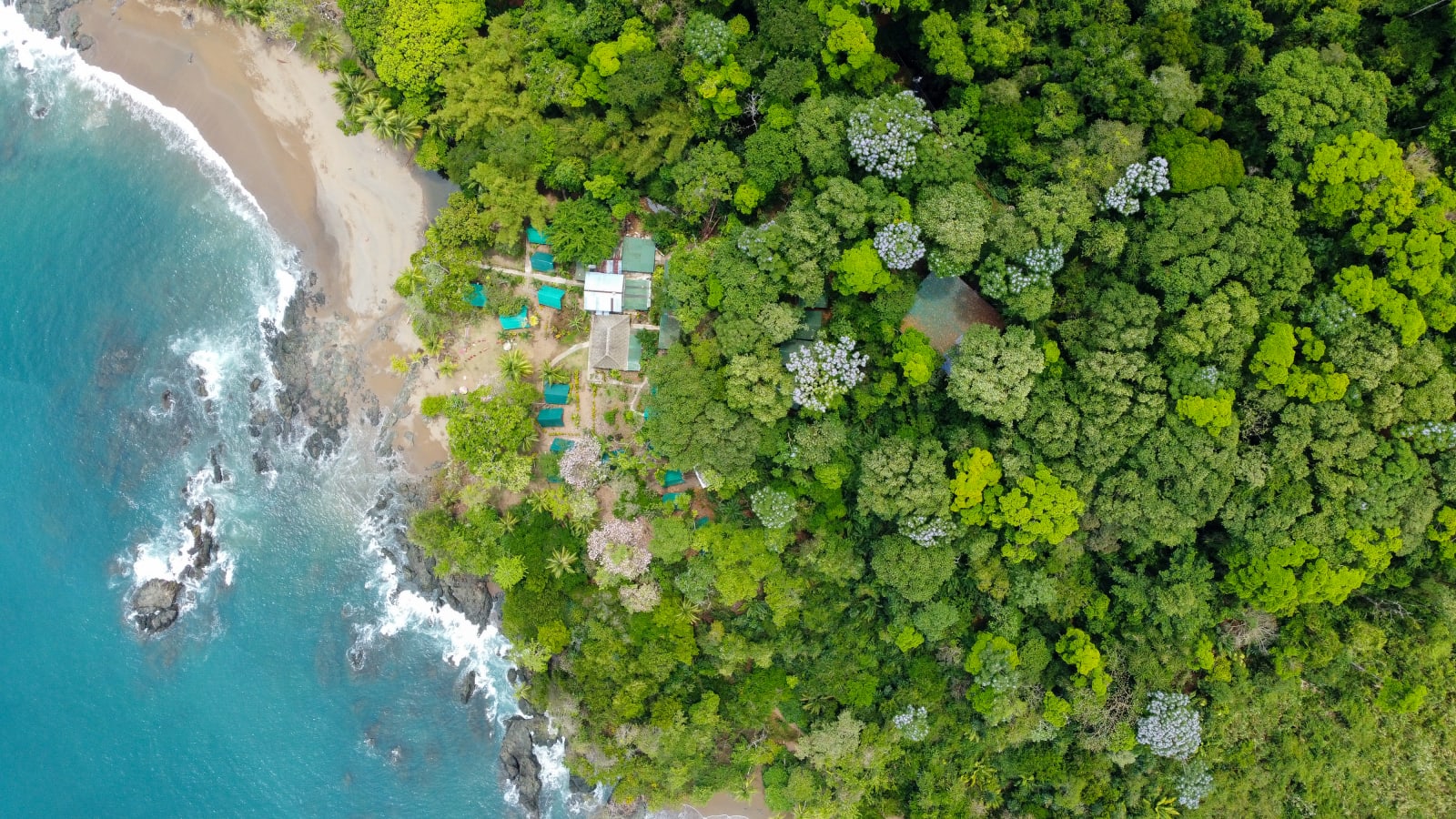 Corcovado Jungle Hostel, Bahía Drake