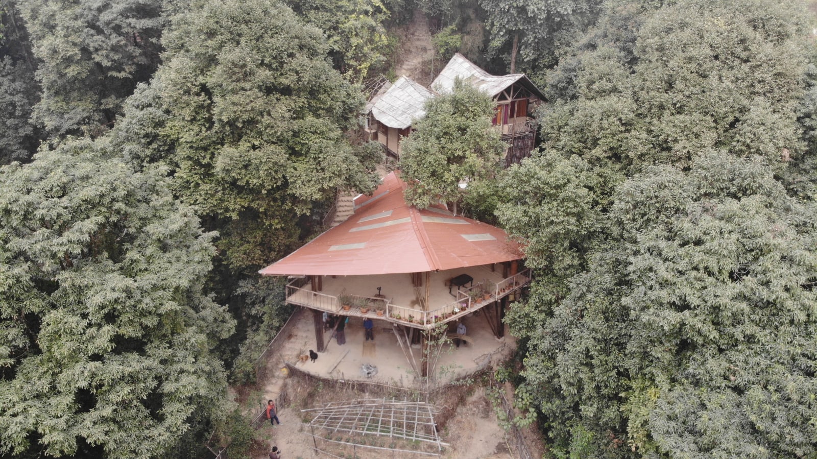 Tieedi Forest Garden, Darjeeling