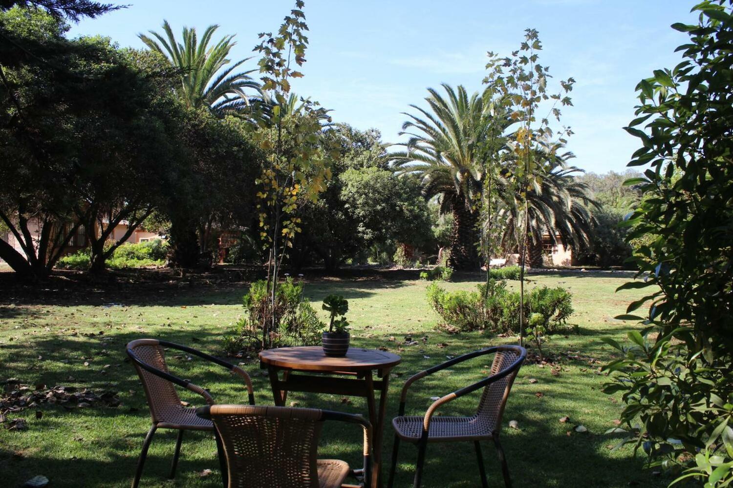 El Arbol Eco-Hotel Boutique, La Serena