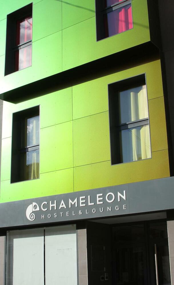 Chameleon Hostel, Alicante