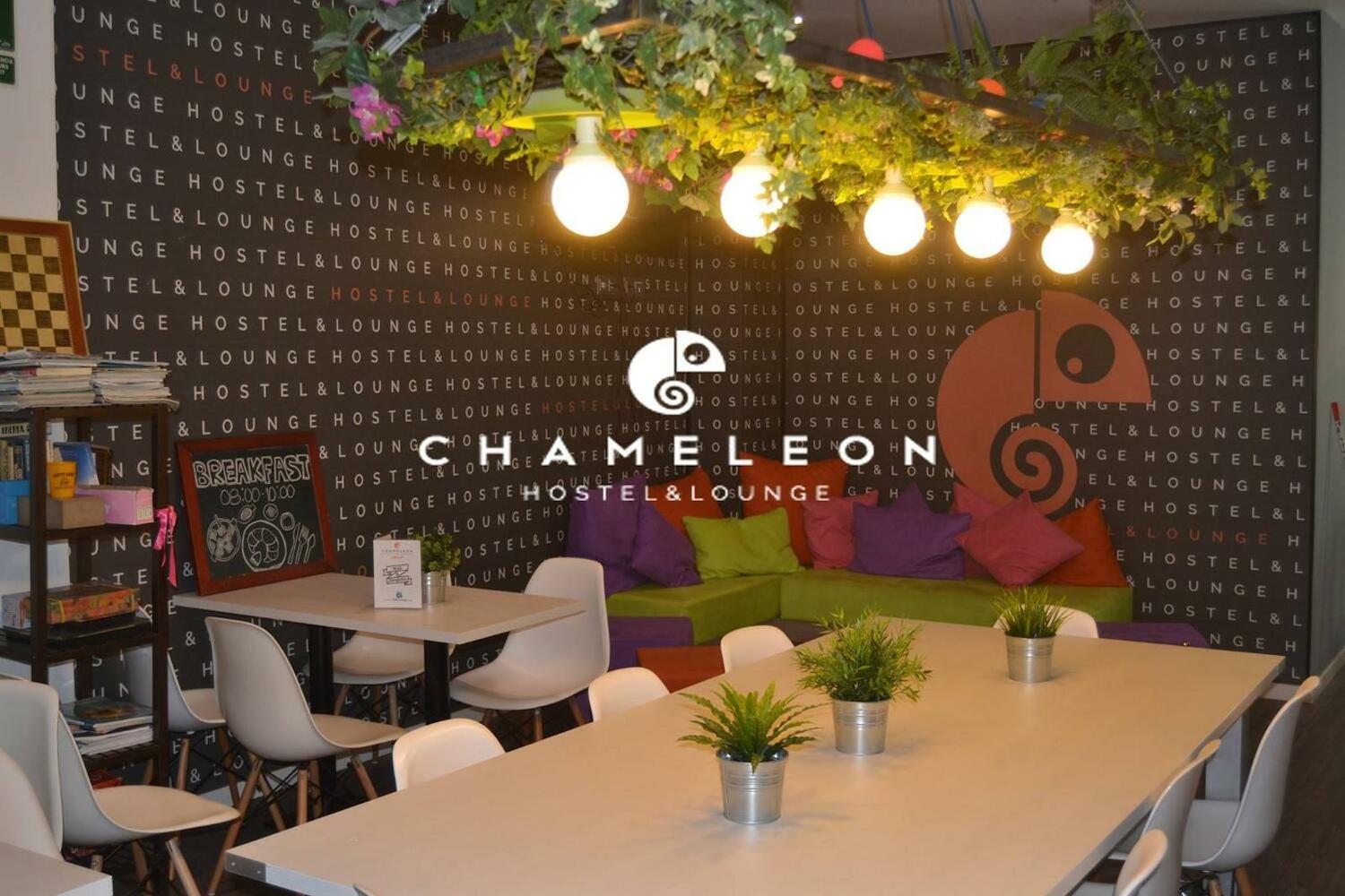 Chameleon Hostel, Alicante