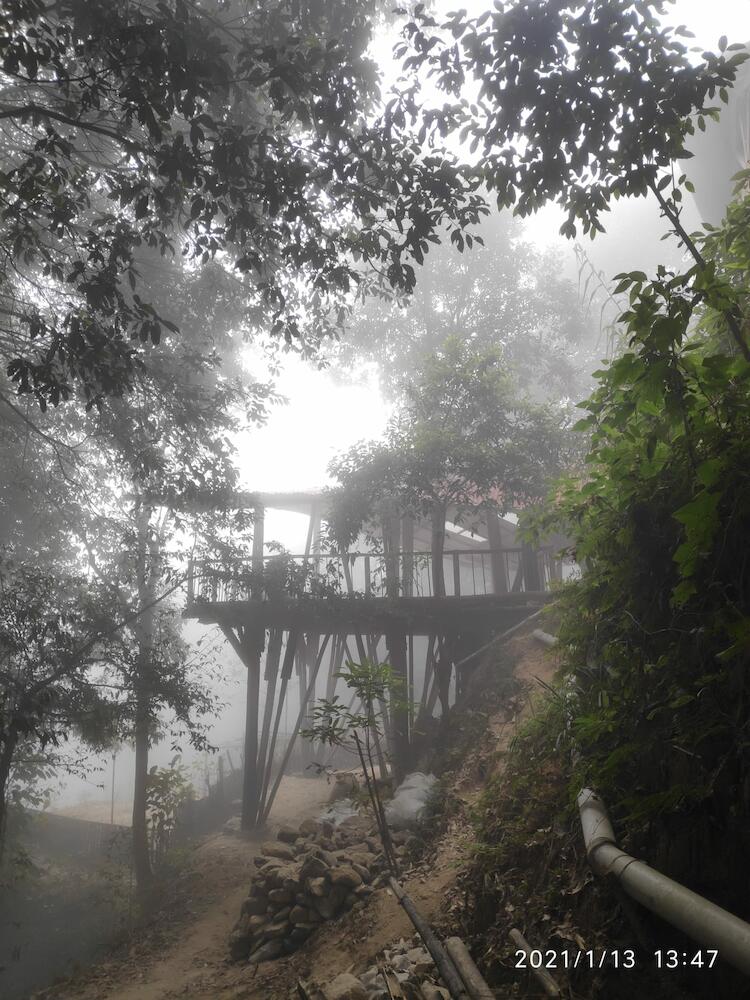 Tieedi Forest Garden, Darjeeling