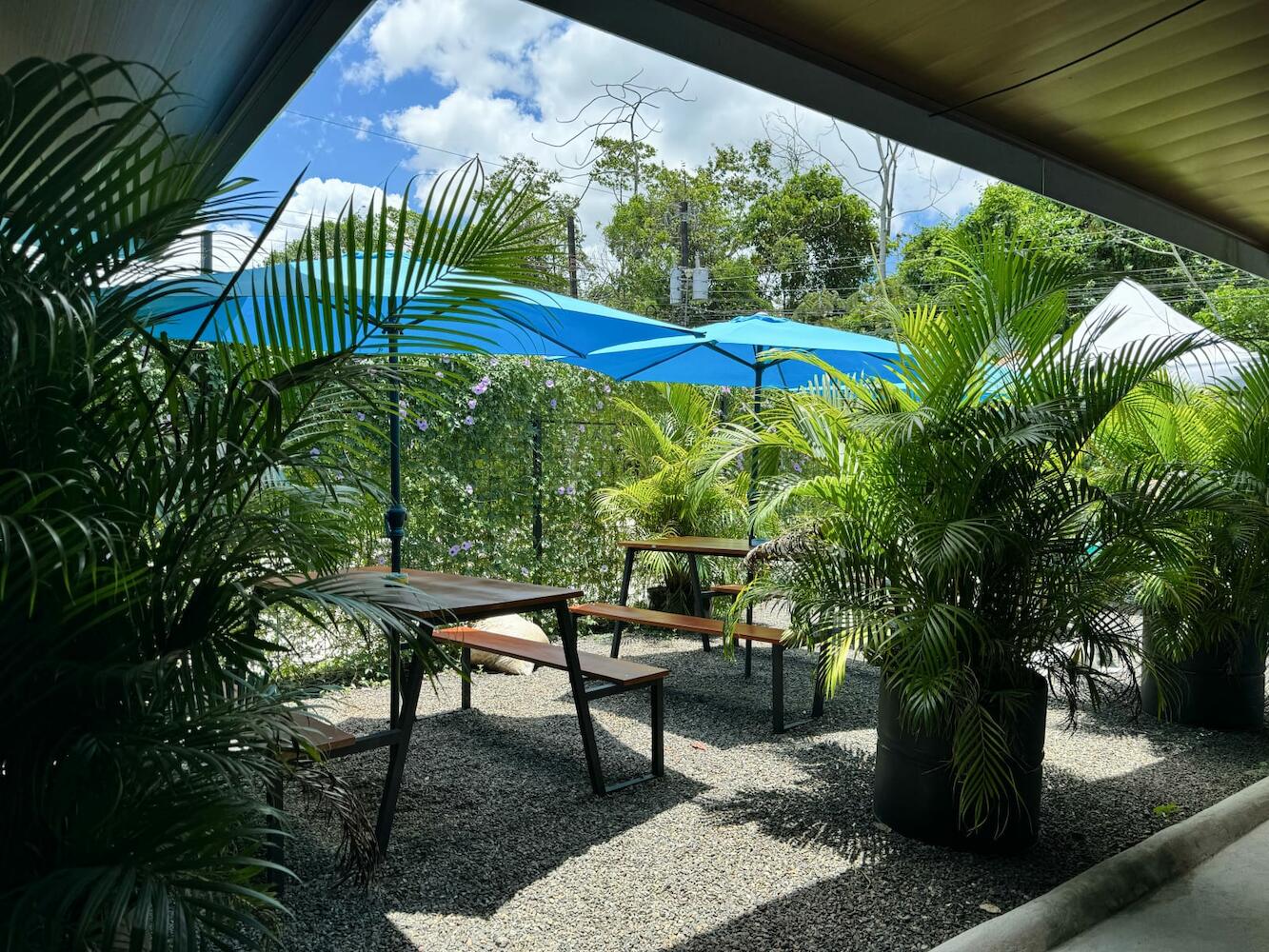 Pura Vibra Hostel, La Fortuna