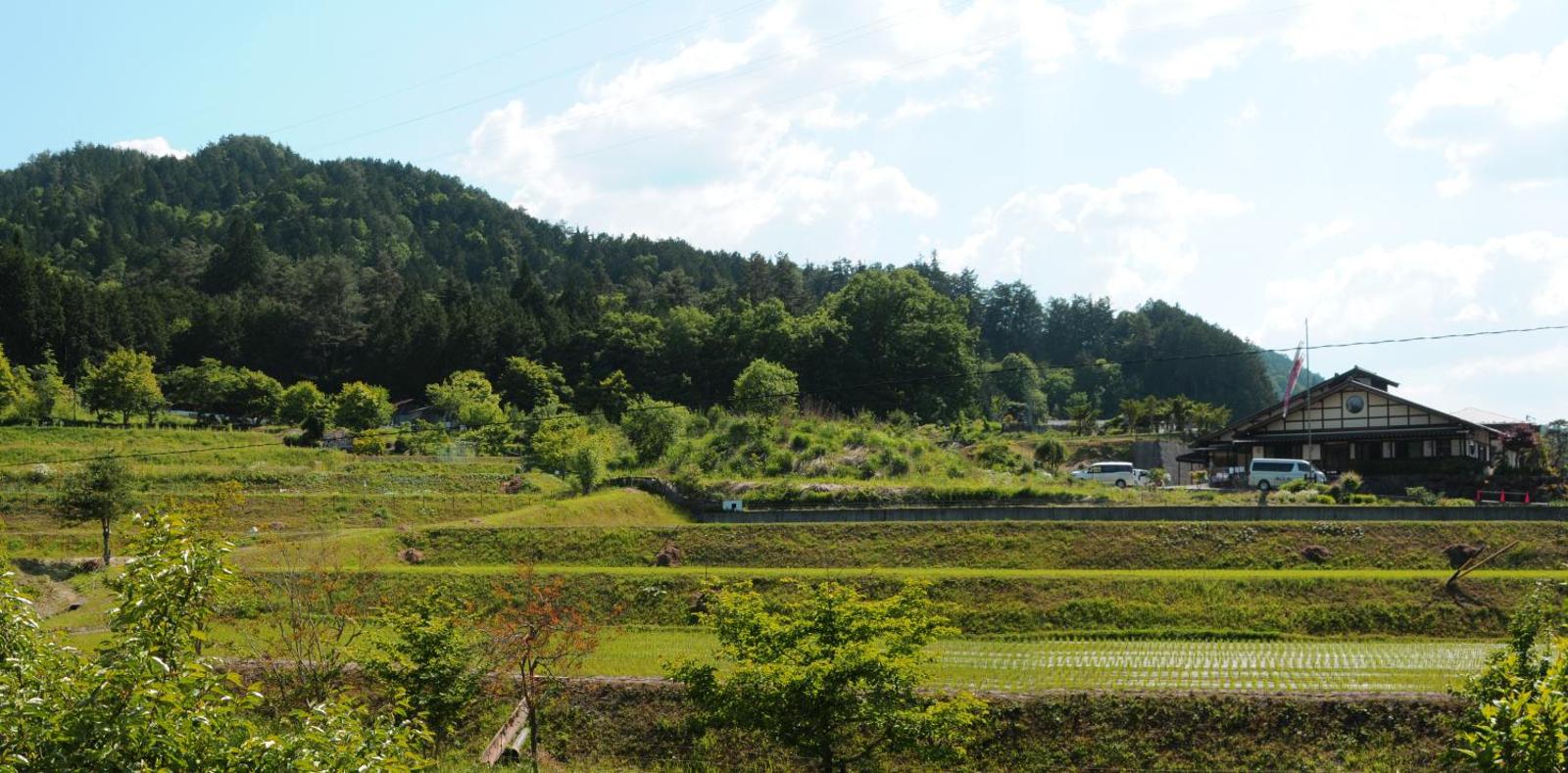 Sakura Guest House, Takayama