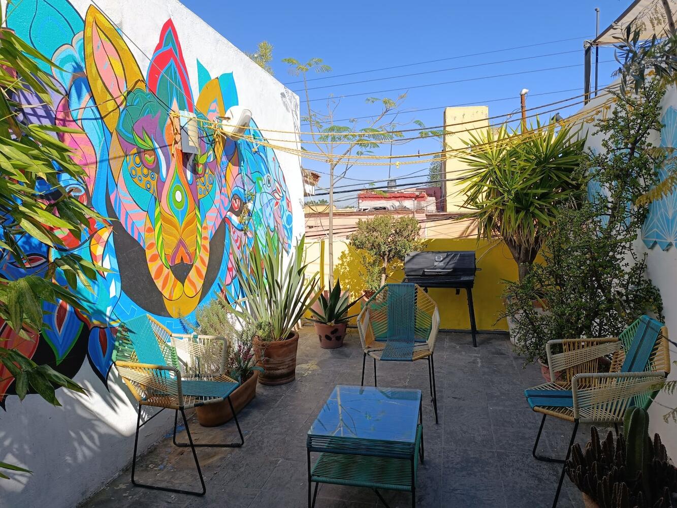 Monkey Safari Hostel, Querétaro