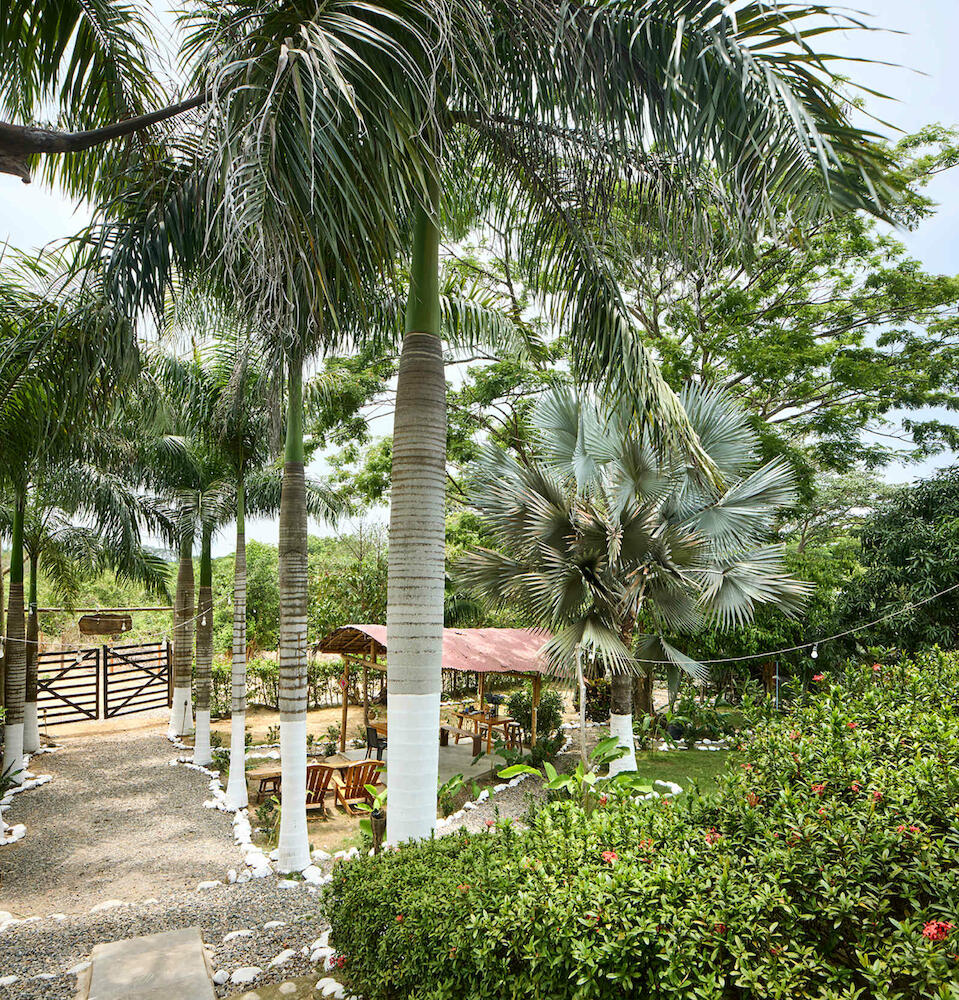 Casa Rio, Palomino