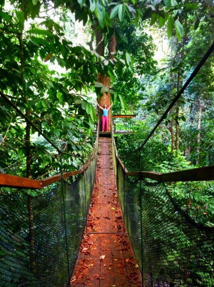 Corcovado Jungle Hostel, Bahía Drake