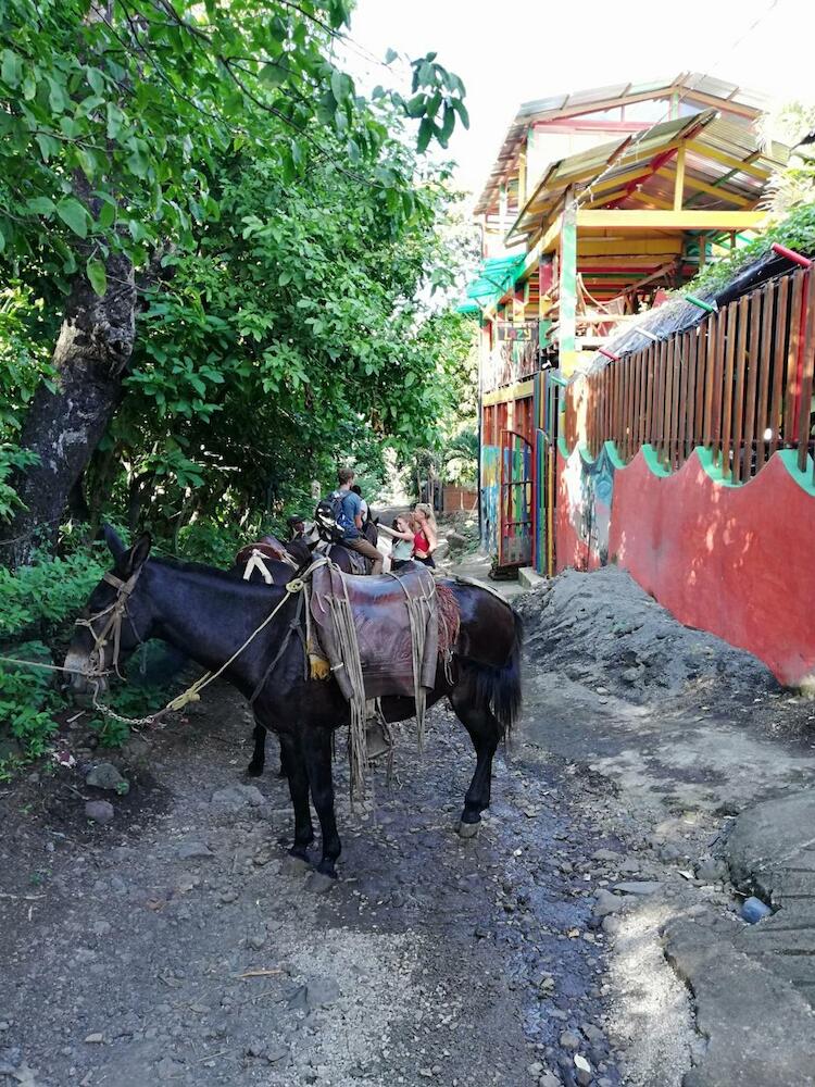 Lazy Crab Hostel, Ometepe