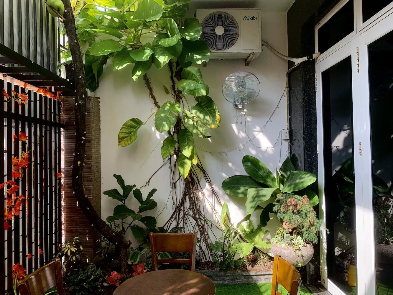 Jungle Dorm, Nha Trang