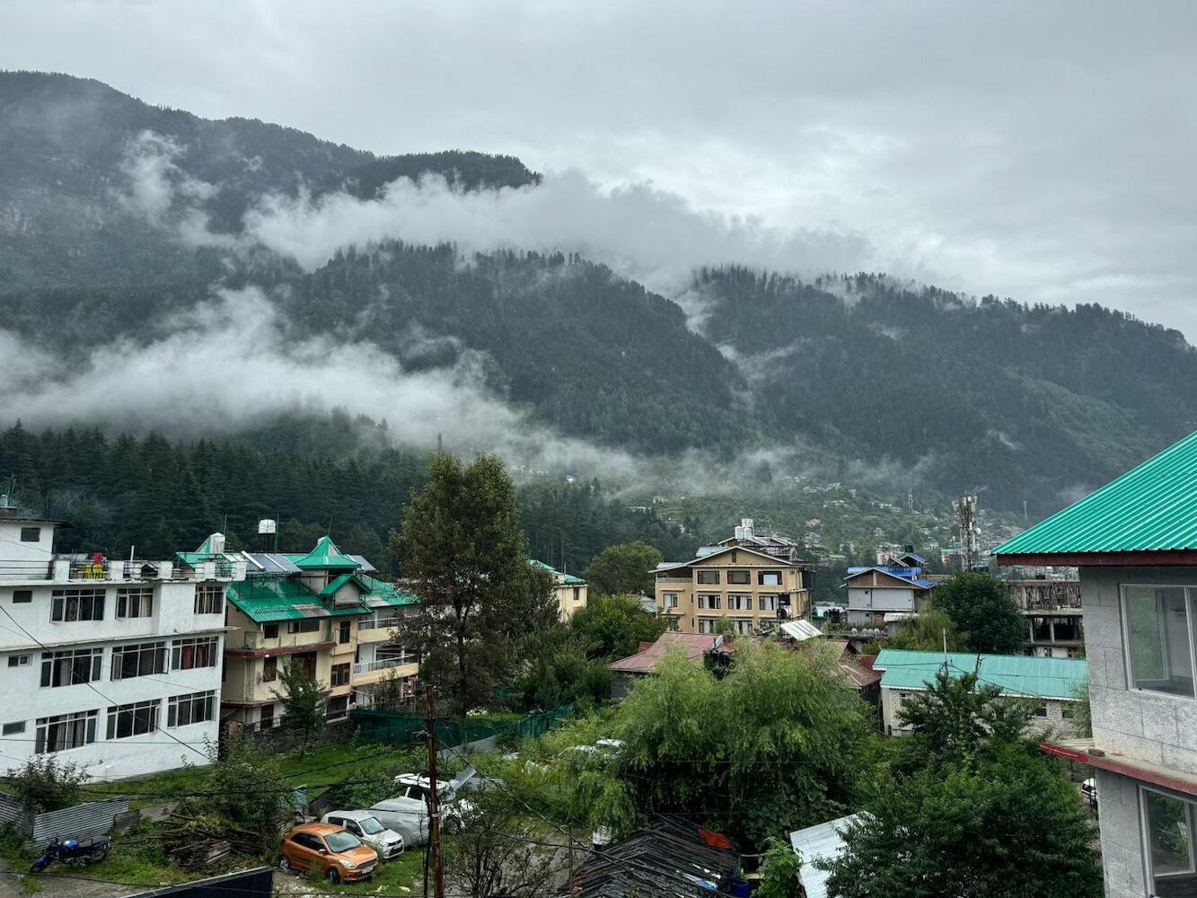 Trippy Turtle Hostel, Manali