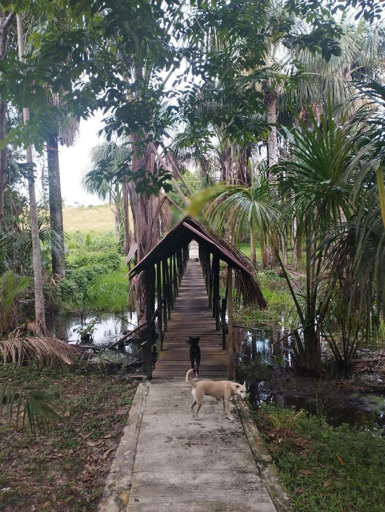 Amazon Lodge Varillal, Iquitos