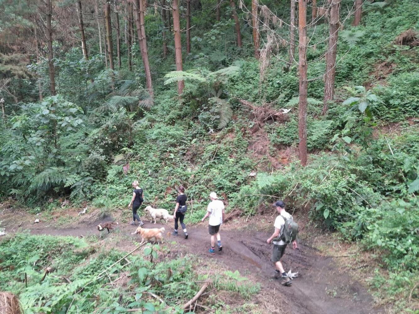 Mirador Finca Morrogacho, Manizales