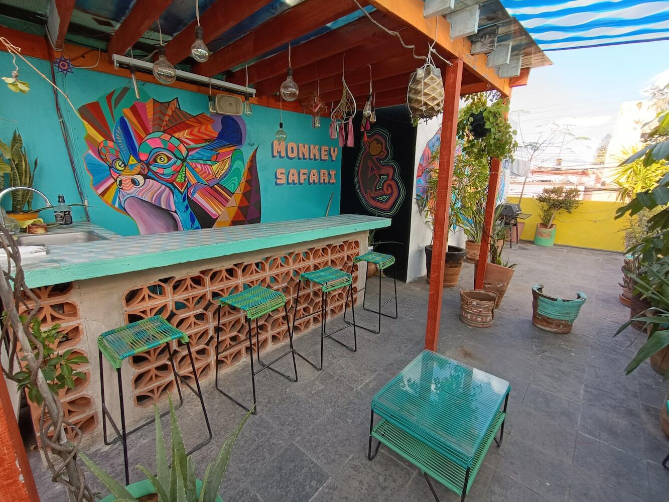 Monkey Safari Hostel, Querétaro