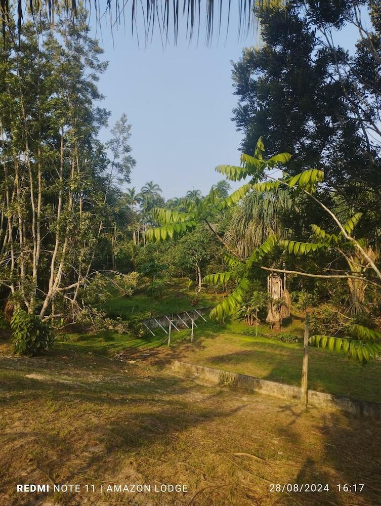 Amazon Lodge Varillal, Iquitos