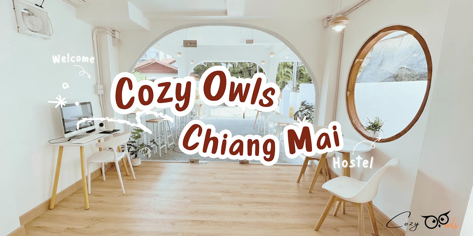 Cozy Owls, Chiang Mai