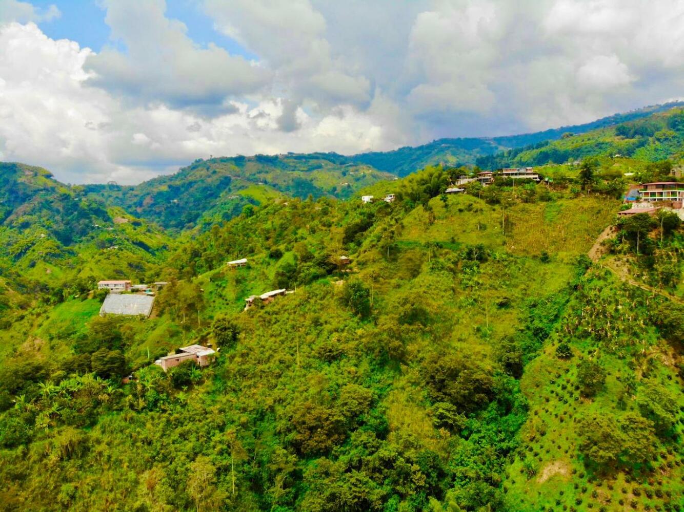 Mountain View Hostel, Manizales