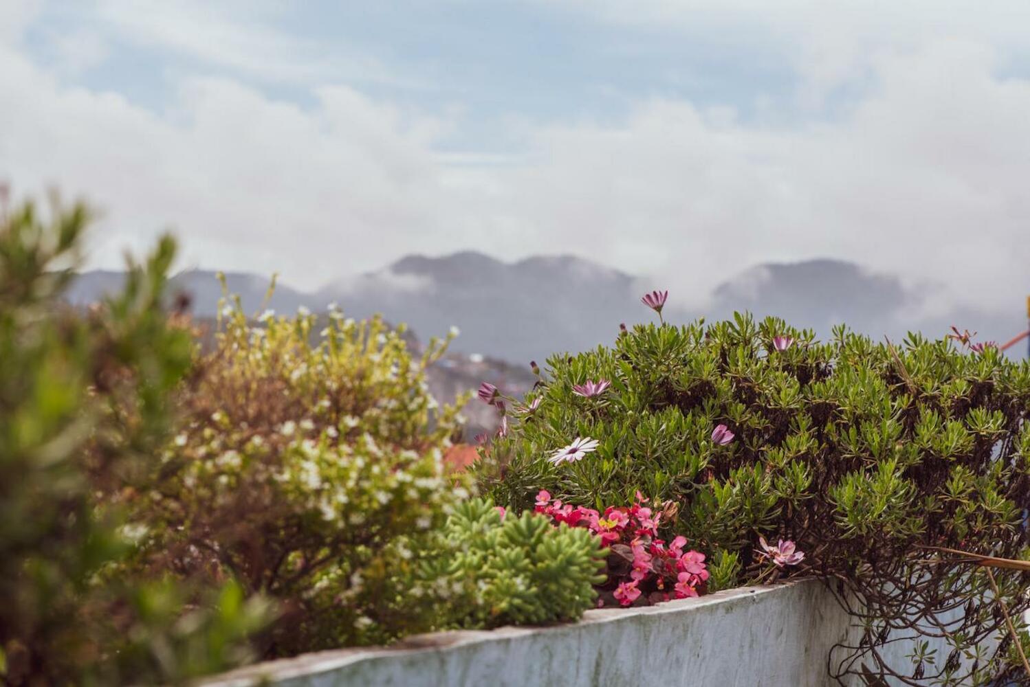 Planet Hostel, San Cristóbal de las Casas