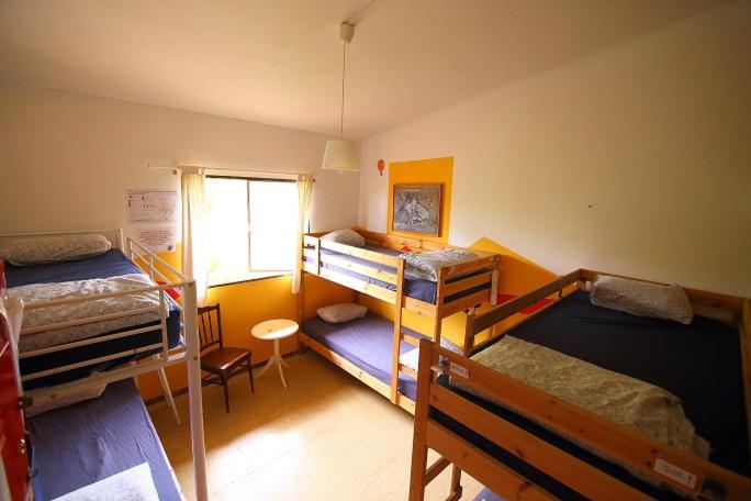 Lagarto Backpackers Hostel, Isla Tenerife