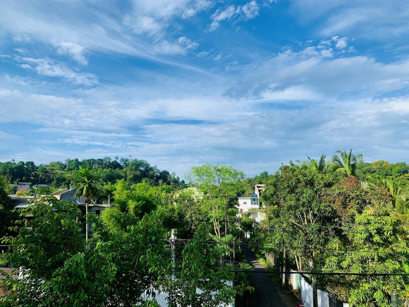 Jungle city Hostel, Galle