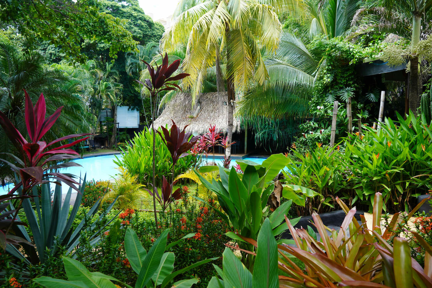 Bonga House, Tamarindo