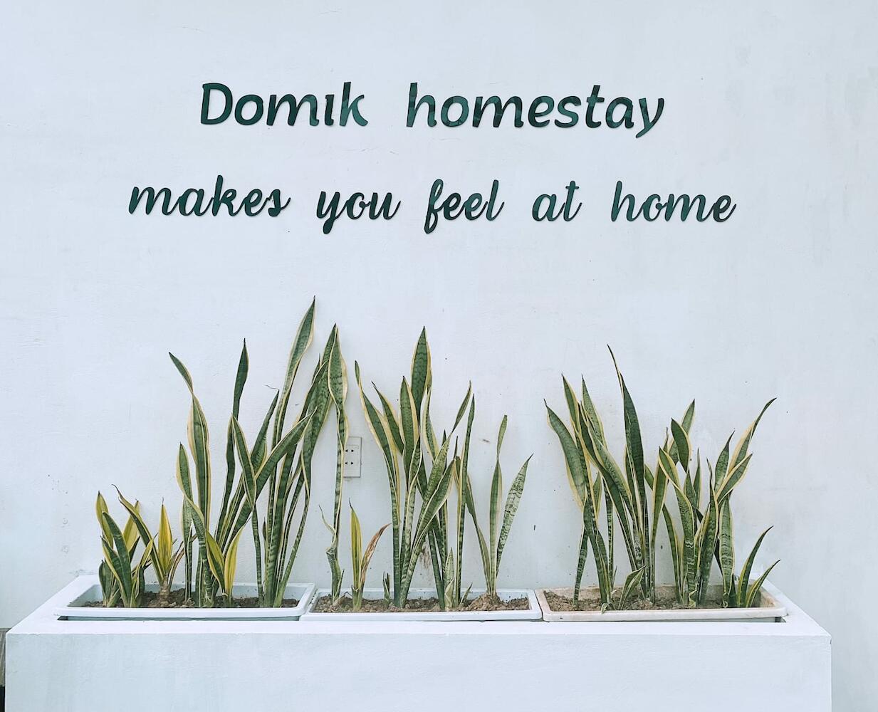 Domik Homestay, Cat Ba Island