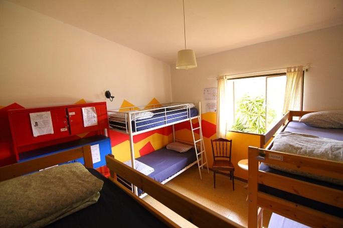 Lagarto Backpackers Hostel, Isla Tenerife