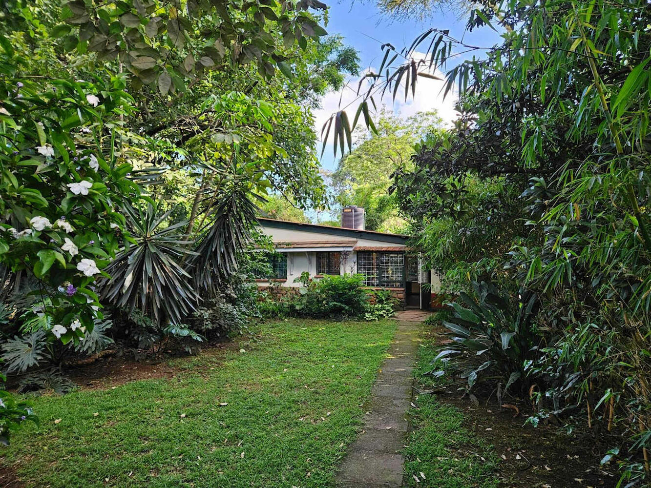 Mad Vervet Backpackers Hostel, Nairobi