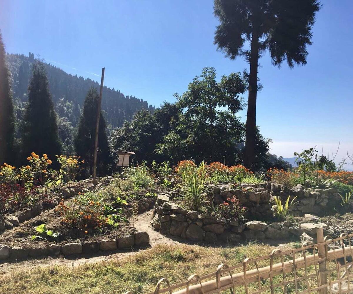 Tieedi Forest Garden, Darjeeling