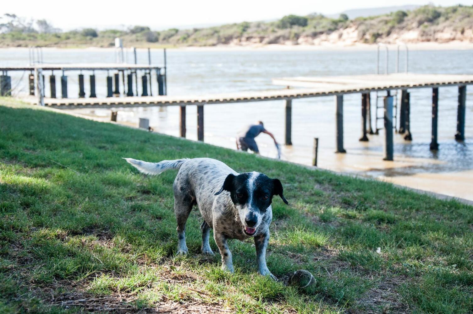 28 Towpath on the Riverfront, Port Elizabeth