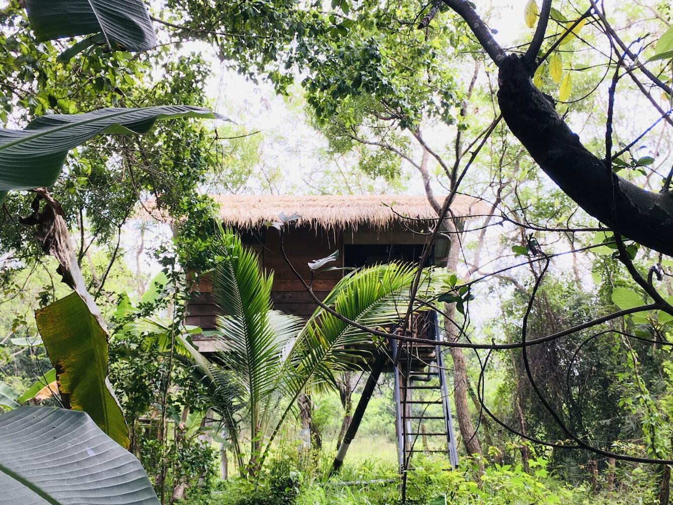 Tree House Hostel, Sigiriya