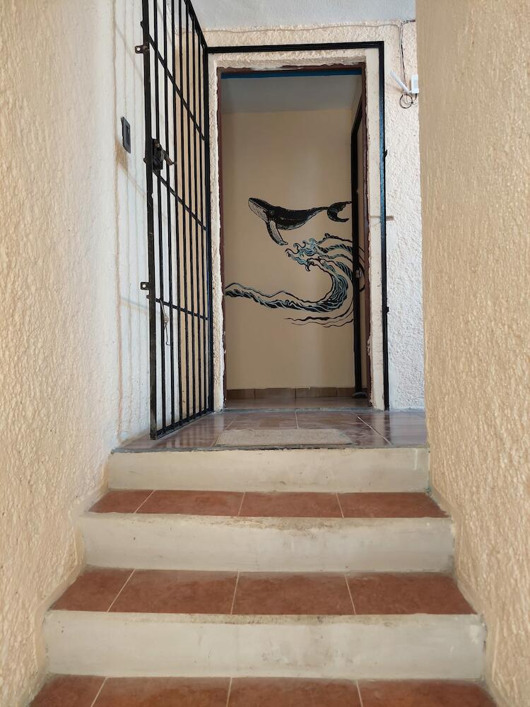 Hostal Venado 28, Cancún