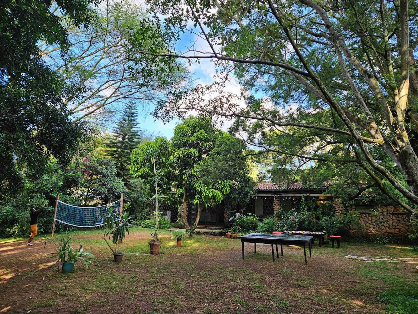 Mad Vervet Backpackers Hostel, Nairobi