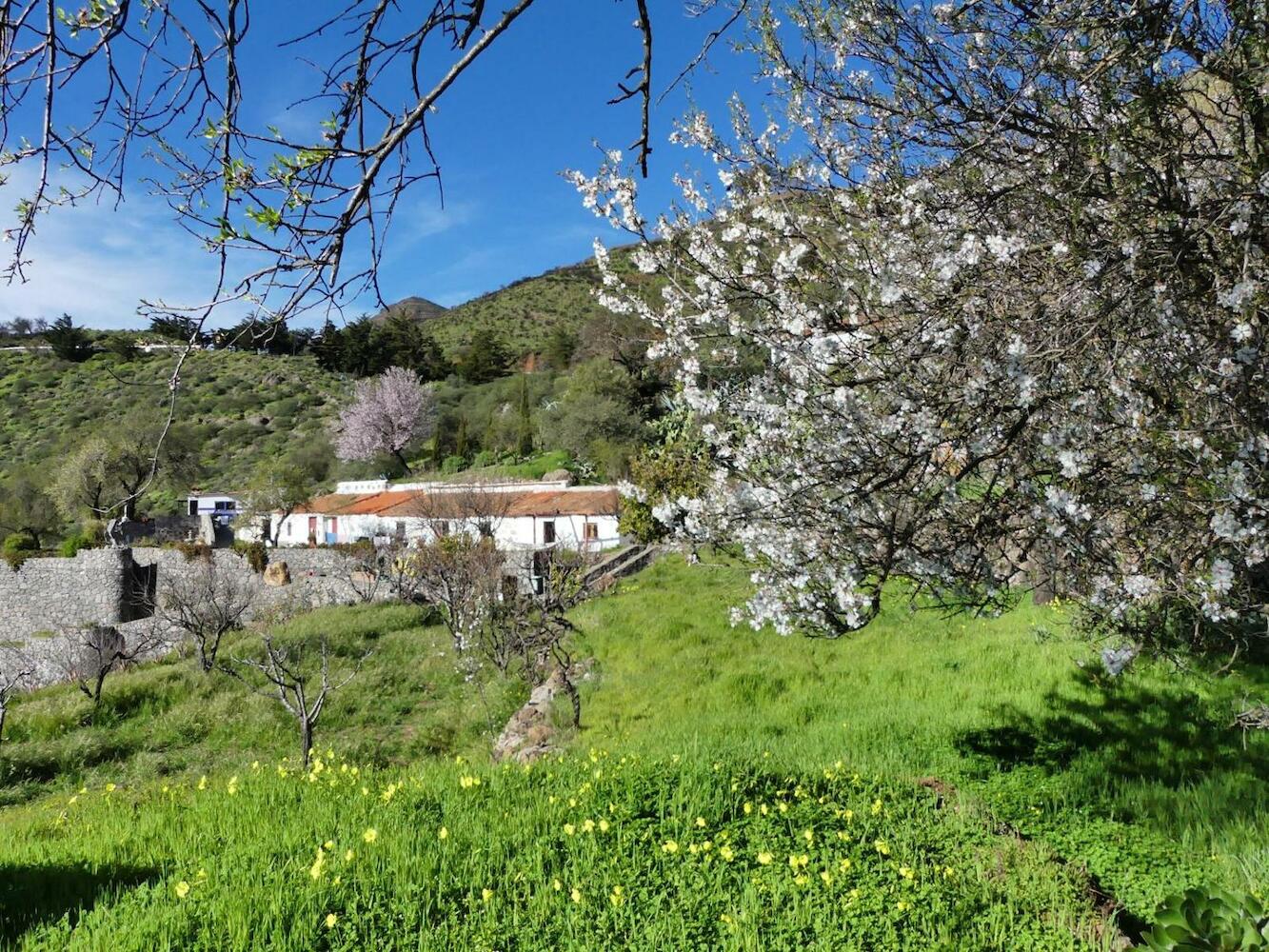 Mountain Hostel Finca La Isa, Gran Canaria