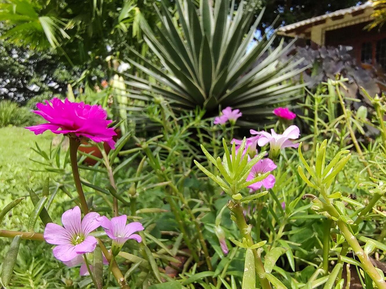 Finca Hostal Bolivar - Casa Quinta, Minca