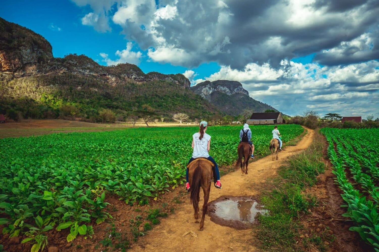 Viñales Villa Maceo y Gladis, Viñales