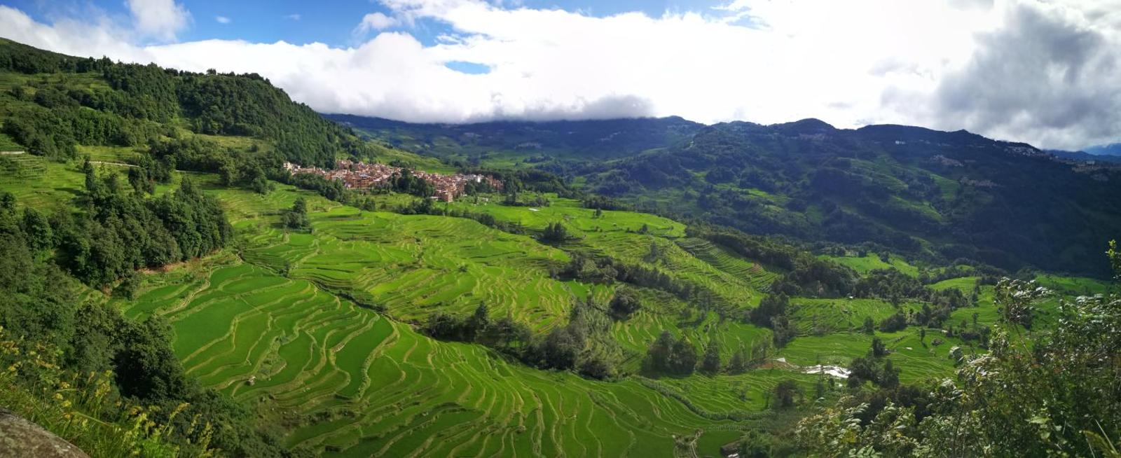 Green Hostel & Sunny Guesthouse, Yuanyang