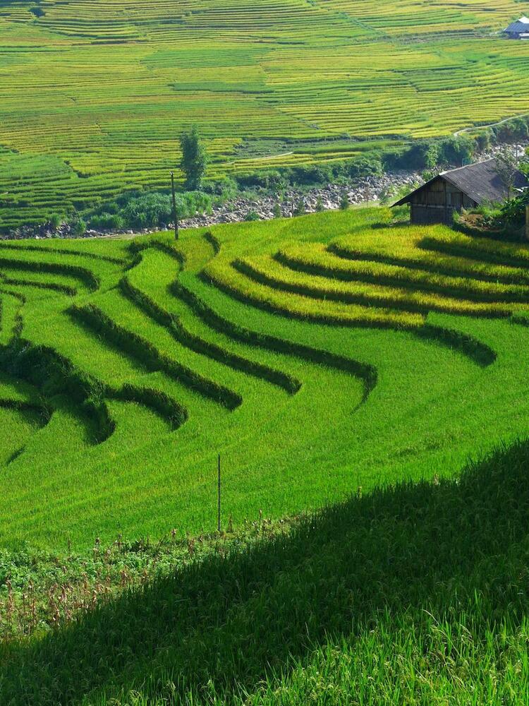 Hmong Sister House & Trekking, Sapa