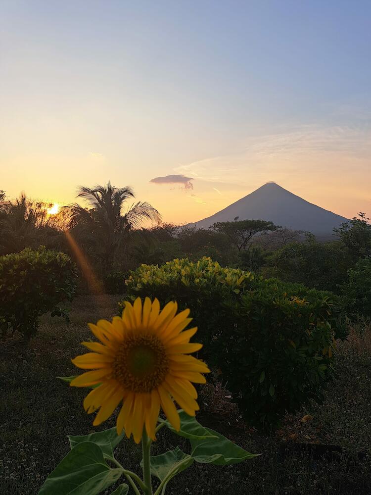 Santa Cruz Hostel, Ometepe