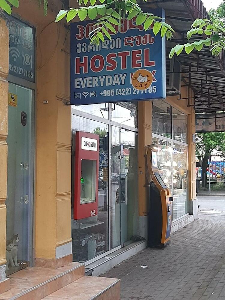 Everyday Cat Hostel, Batumi