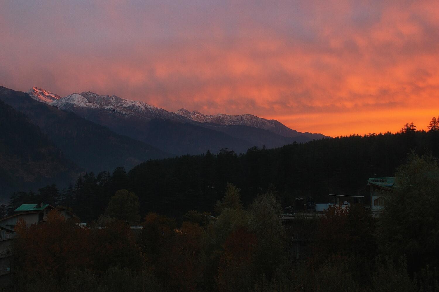 Yolo Backpackers Hostel, Manali