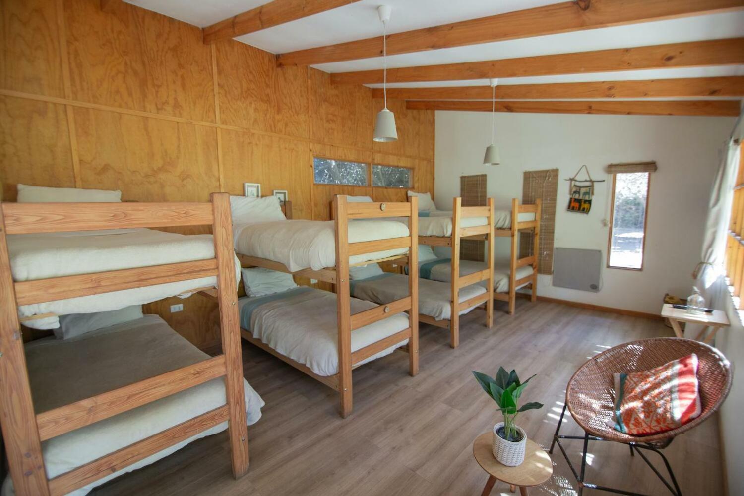 El Arbol Beach Hostel, La Serena