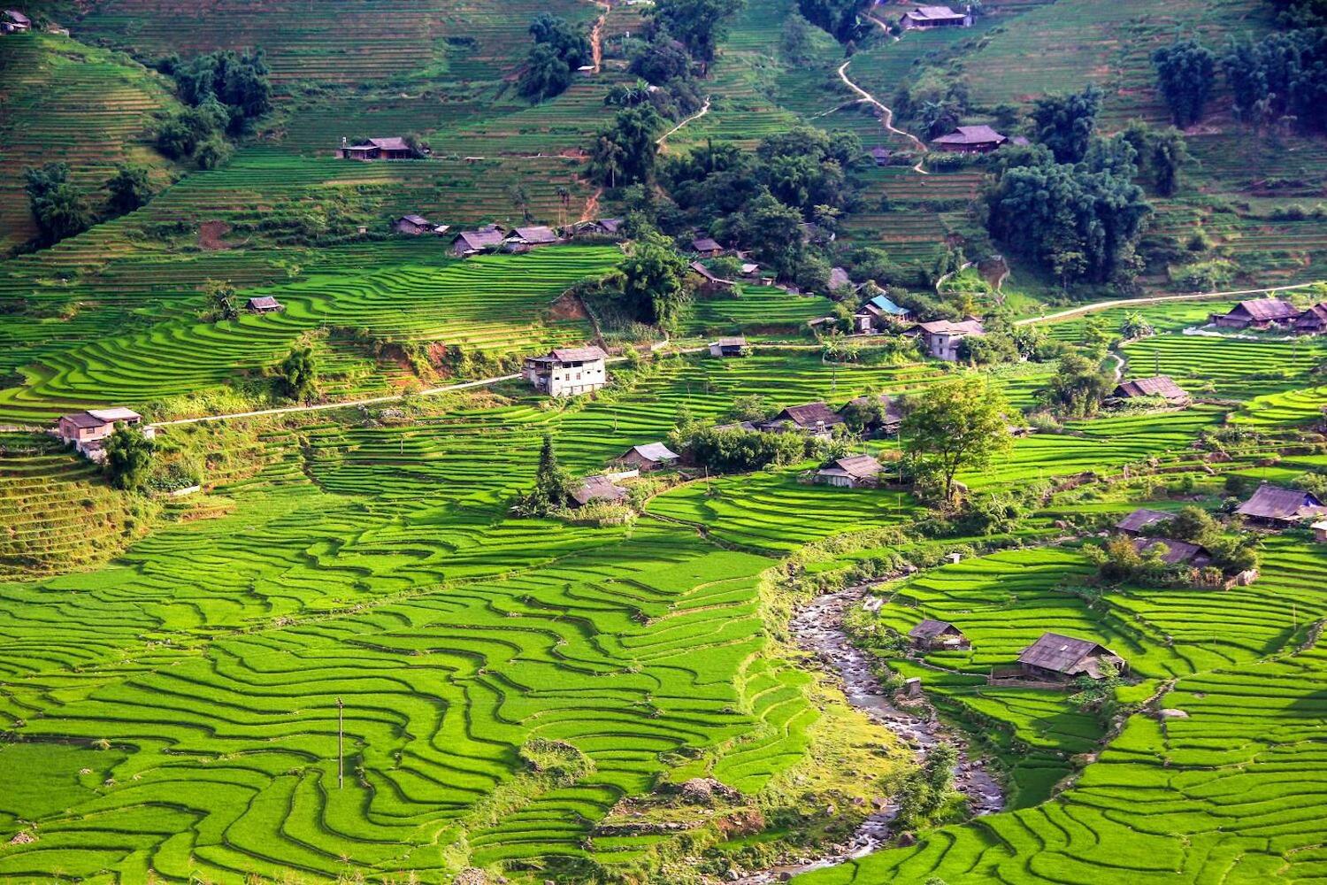 Hmong Sister House & Trekking, Sapa