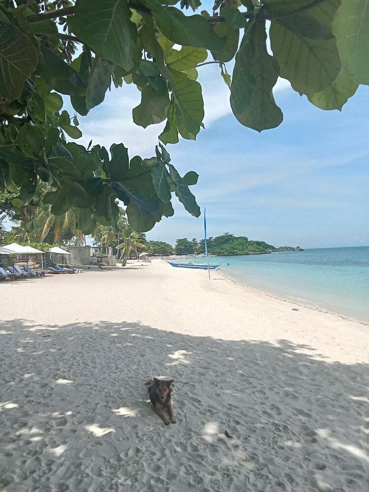 Georgia's Neverland Hostel, Malapascua Island