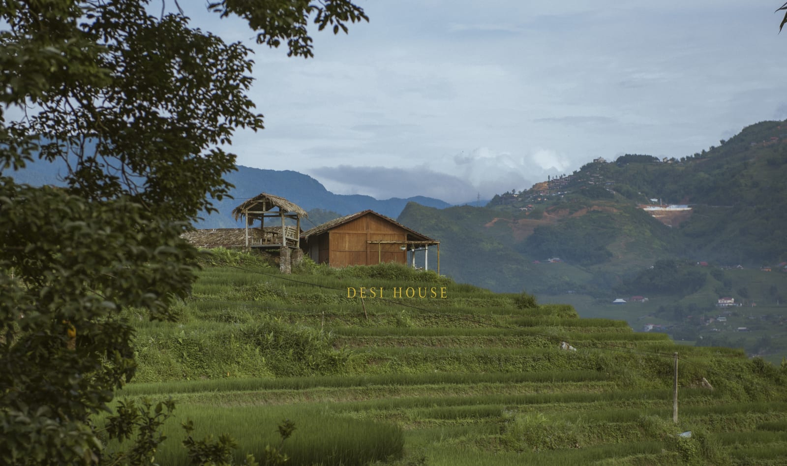 Desi House Ta Van Sa Pa, Sapa